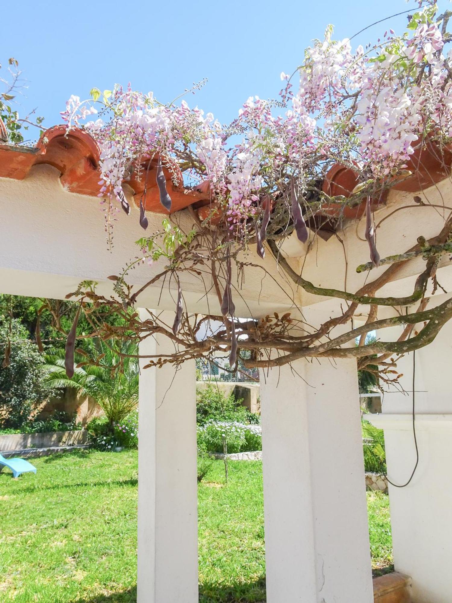 Quinta De Лагуш Экстерьер фото